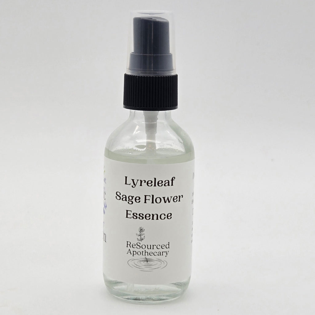 Lyreleaf Sage Flower Essence